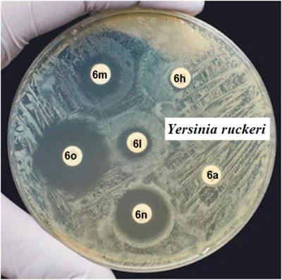 Choline chloride/urea as a green and efficient deep eutectic solvent in three-component and four-component synthesis of novel pyrazole and pyrano[2,3-c] pyrazole derivatives with antibacterial and antifungal activity